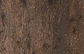 Sparkling Grey Oak Wood Veneers From Mikasa Decowood Veneers 